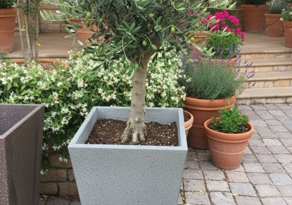 Barbianer Porphyr satiniert